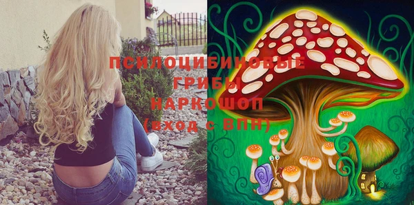 твердый Володарск