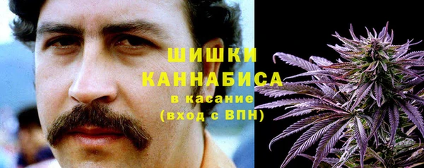 метадон Вяземский